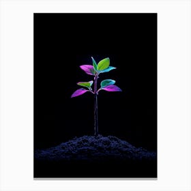 Plant Growing In The Dark 3 Canvas Print