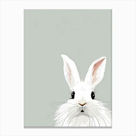 White Rabbit 4 Canvas Print