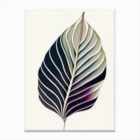 Hosta Leaf Abstract Canvas Print