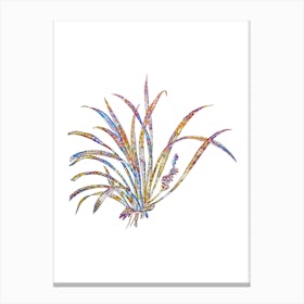 Stained Glass Sansevieria Carnea Mosaic Botanical Illustration on White n.0131 Canvas Print