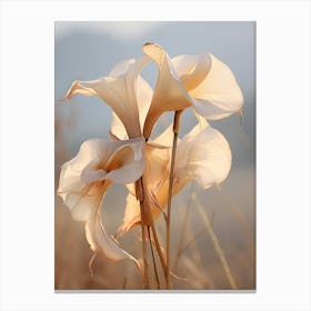 Boho Dried Flowers Calla Lily 1 Canvas Print
