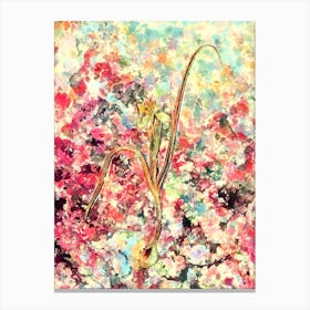 Impressionist Barbary Nut Botanical Painting in Blush Pink and Gold Canvas Print
