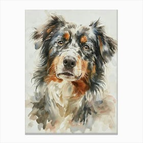 Australian Shepherd Dog Watercolor Painting 7 Canvas Print