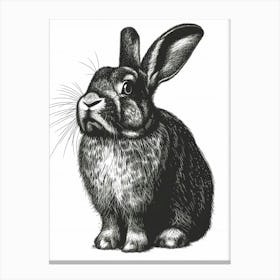 English Lop Blockprint Rabbit Illustration 5 Canvas Print