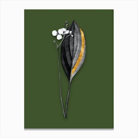Vintage Bulltongue Arrowhead Black and White Gold Leaf Floral Art on Olive Green n.0912 Canvas Print