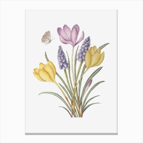 Crocuses and Muscari Canvas Print