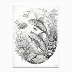Doitsu Kohaku Koi Fish Haeckel Style Illustastration Canvas Print