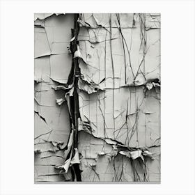 Peeling Paint Canvas Print