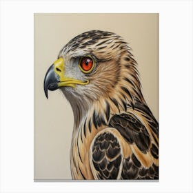 Hawk hawk 1 Canvas Print