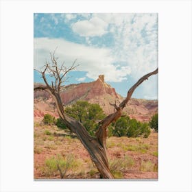 Ghost Ranch VI on Film Canvas Print