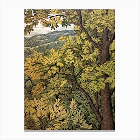 Green Ash Vintage Autumn Tree Print  Canvas Print