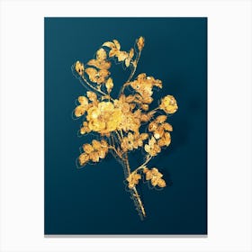 Vintage Yellow Sweetbriar Rose Botanical in Gold on Teal Blue n.0274 Canvas Print