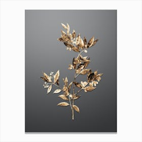 Gold Botanical Fontanesia Phillyreoides on Soft Gray n.3190 Canvas Print