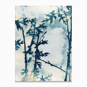 Blue Oak Leaves Canvas Print