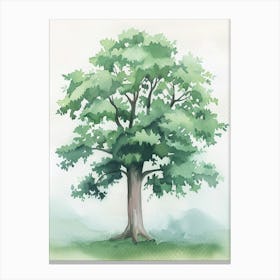 Mahogany Tree Atmospheric Watercolour Painting 1 Canvas Print