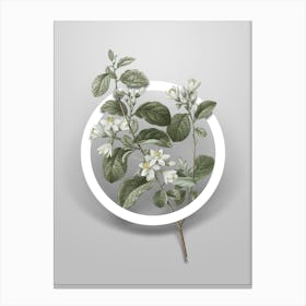 Vintage Snowdrop Bush Minimalist Flower Geometric Circle on Soft Gray n.0474 Canvas Print