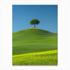 Lone Tree On A Green Hill Canvas Print