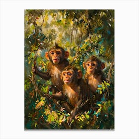 Three Chimpanzees Canvas Print
