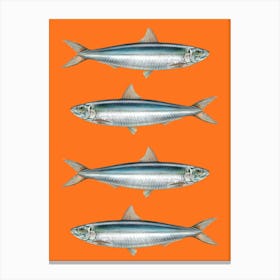 Sardine Fish On A Orange Background Art Print Canvas Print