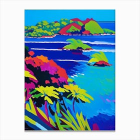 Mamanuca Islands Fiji Colourful Painting Tropical Destination Canvas Print