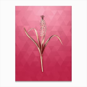 Vintage Grape Hyacinth Botanical in Gold on Viva Magenta n.0506 Canvas Print