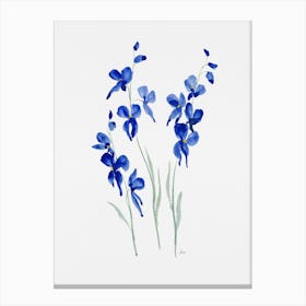 Blue Butterfly Blooms Canvas Print