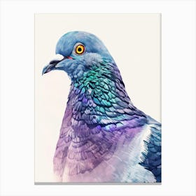 Pigeon 12 Canvas Print