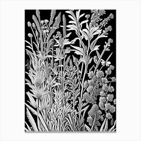 Lavender Wildflower Linocut Canvas Print