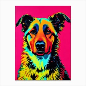 Belgian Sheepdog Andy Warhol Style dog Canvas Print
