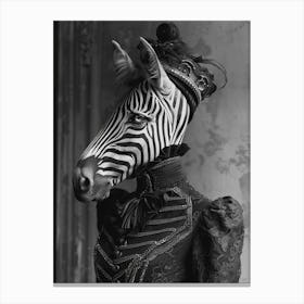 Zebra wearing clothes Canvas Print