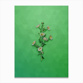 Vintage Glaucous Aster Flower Botanical Art on Classic Green n.0083 Canvas Print
