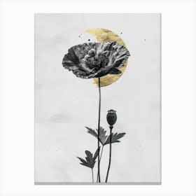 Black Poppy Canvas Print