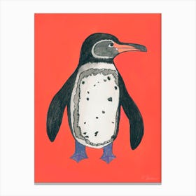 Galapagos Penguin Canvas Print