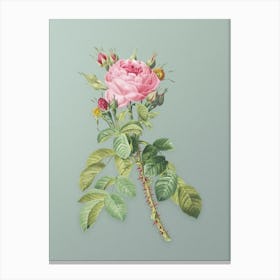 Vintage Lelieur's Four Seasons Rose Botanical Art on Mint Green n.0972 Canvas Print