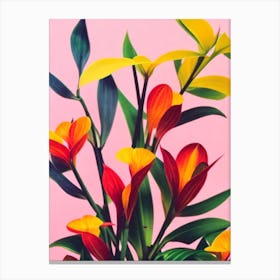 Maranta 2 Colourful Illustration Plant Canvas Print