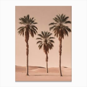 Palm trees desert art Canvas Print