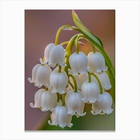 Lily Of The Valley Art Canvas Print