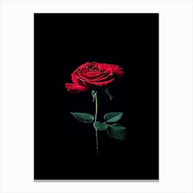 Red Rose On Black Background 30 Canvas Print