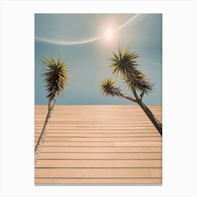 Retro Palms In The Sun Canvas Print