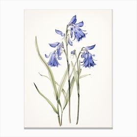 Bluebells Flower Vintage Botanical 0 Canvas Print