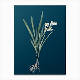 Vintage Gladiolus Xanthospilus Botanical Art on Teal Blue Canvas Print