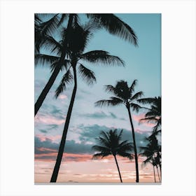 Vibrant Palm Tree Sunset Canvas Print