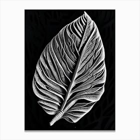 Plantain Leaf Linocut 3 Canvas Print