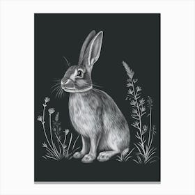 English Silver Rabbit Minimalist 2 Canvas Print