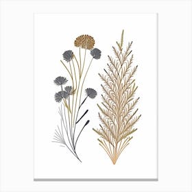 Caraway Seeds Spices And Herbs Minimal Line Drawing 3 Canvas Print