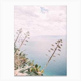 Seaside Cliff Plants Canvas Print