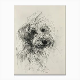 Dandie Dinmont Terrier Dog Charcoal Line 2 Canvas Print