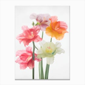 Gladioli Flowers Acrylic Painting In Pastel Colours 7 Canvas Print