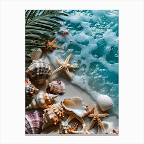 Sea Shells On The Beach 3 Canvas Print