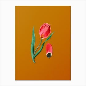 Vintage Sun's Eye Tulip Botanical on Sunset Orange n.0463 Canvas Print